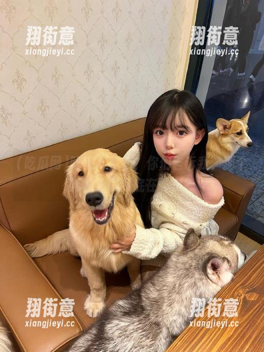 吃瓜网 吃瓜网更新,你们告诉我,那个神秘入口到底在哪啊?